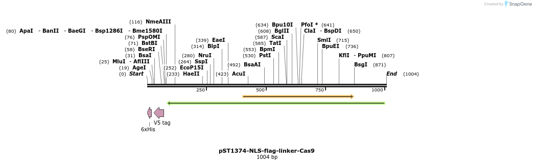 63103_map