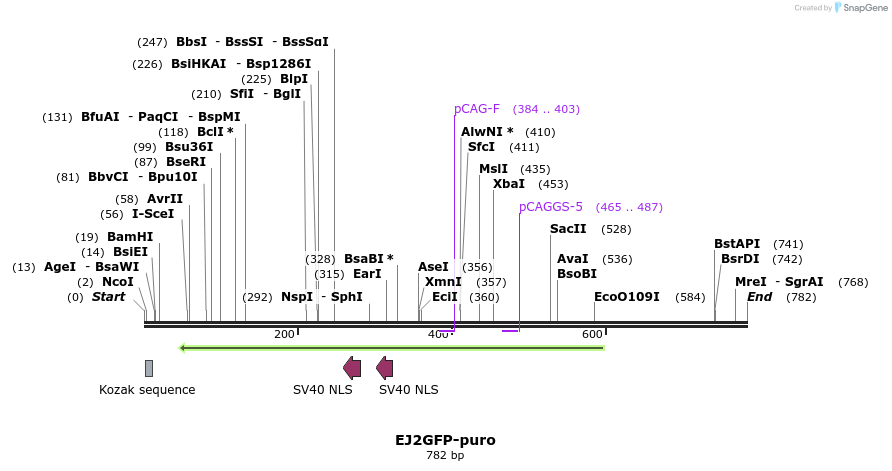 63112_map