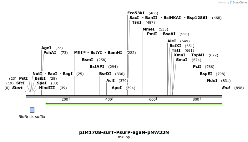 63117_map
