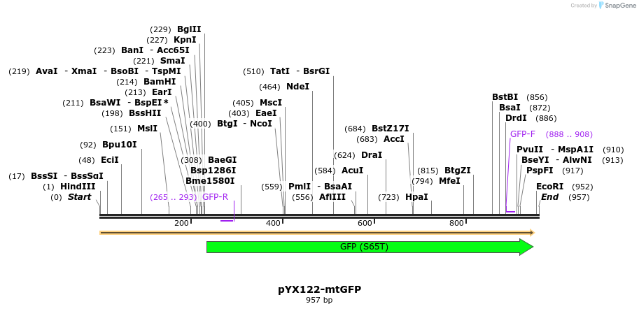 63124_map