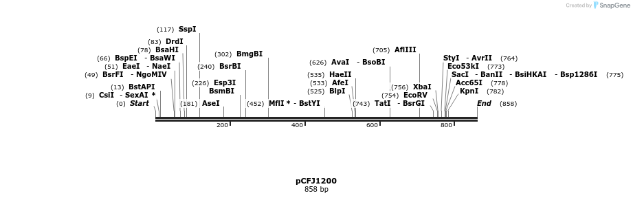 63133_map