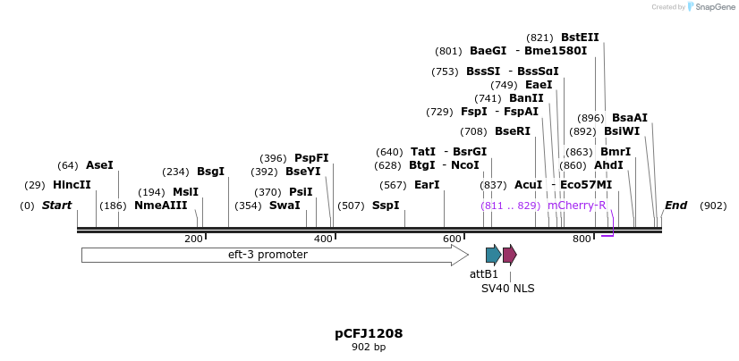 63137_map