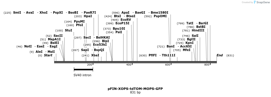 63141_map