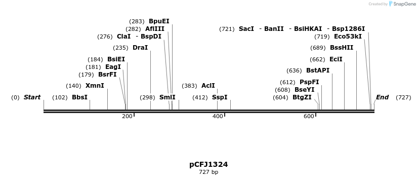 63142_map