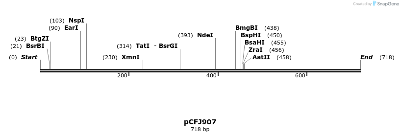 63144_map