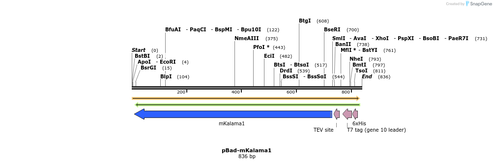 63146_map