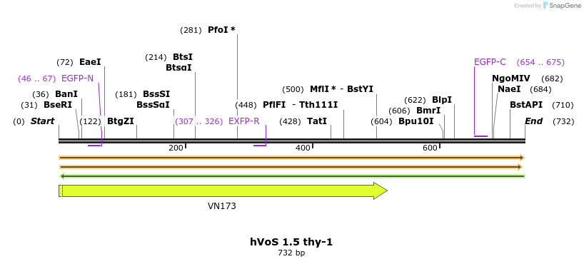 63157_map