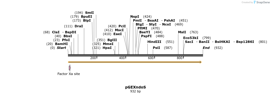 63178_map