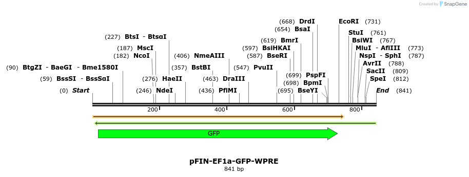 63179_map