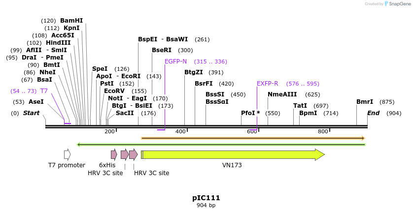 63181_map