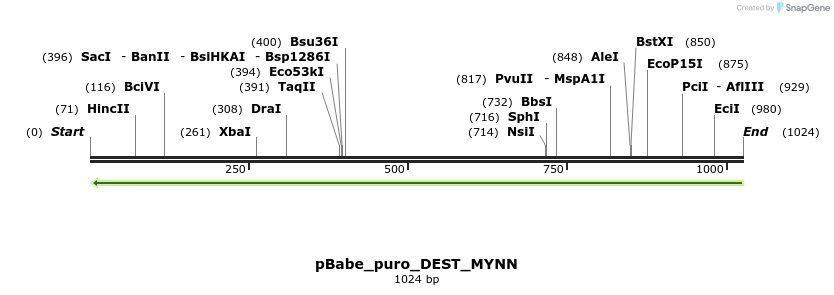63194_map