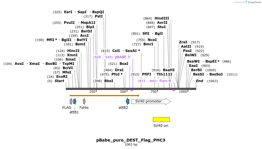 63198_map