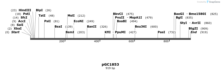 63202_map
