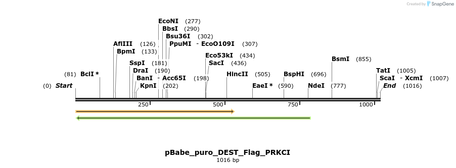 63203_map