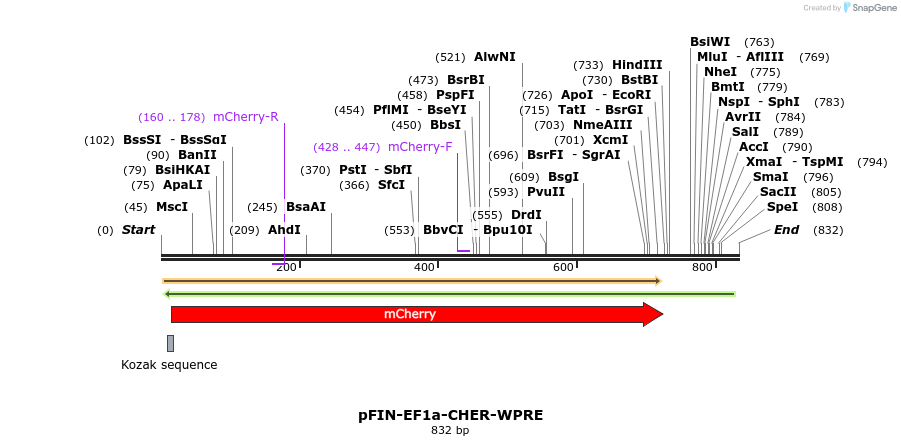 63205_map
