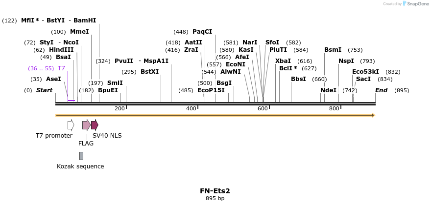 63209_map