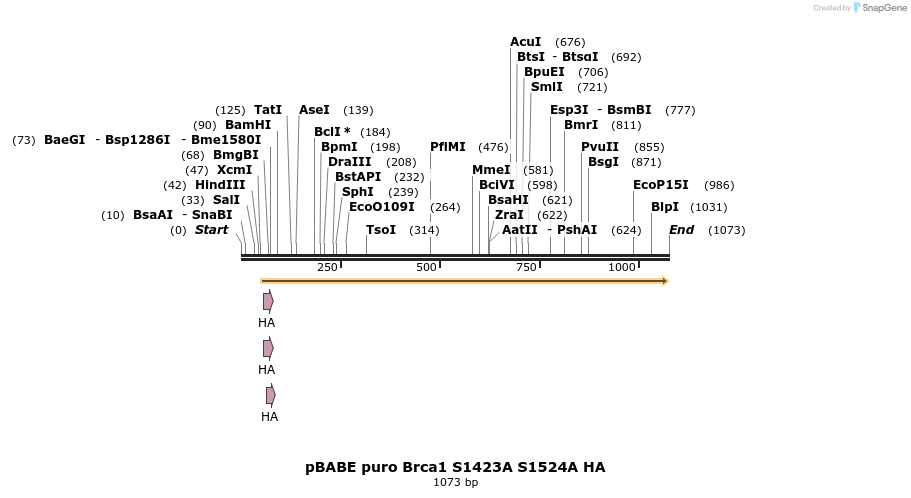 63211_map