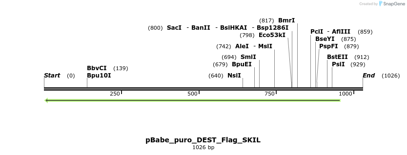 63212_map