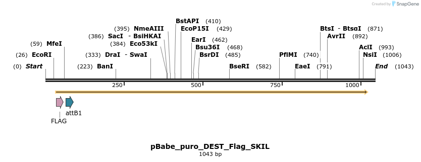 63213_map