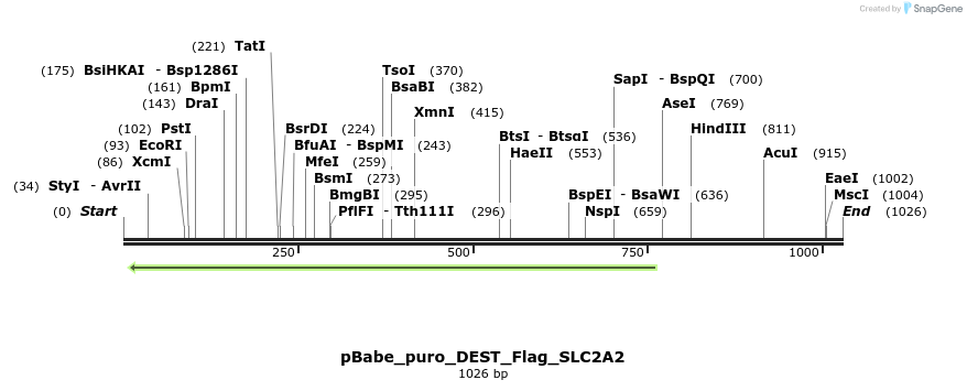 63216_map