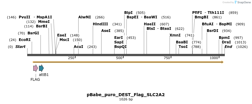63217_map