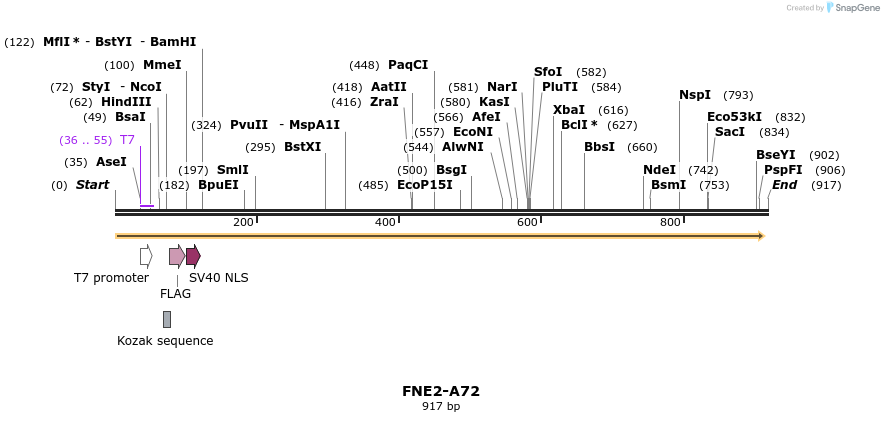 63218_map
