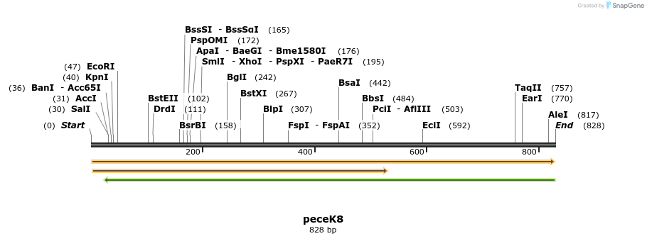 63221_map