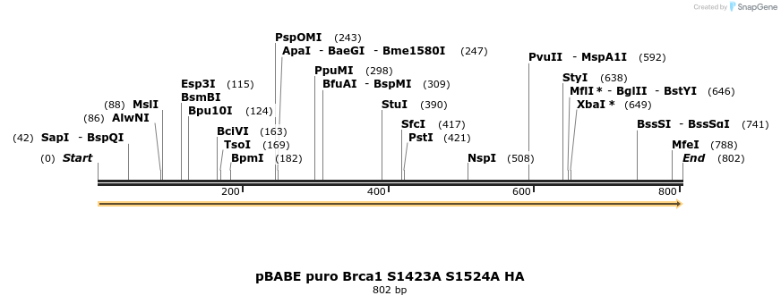 63223_map