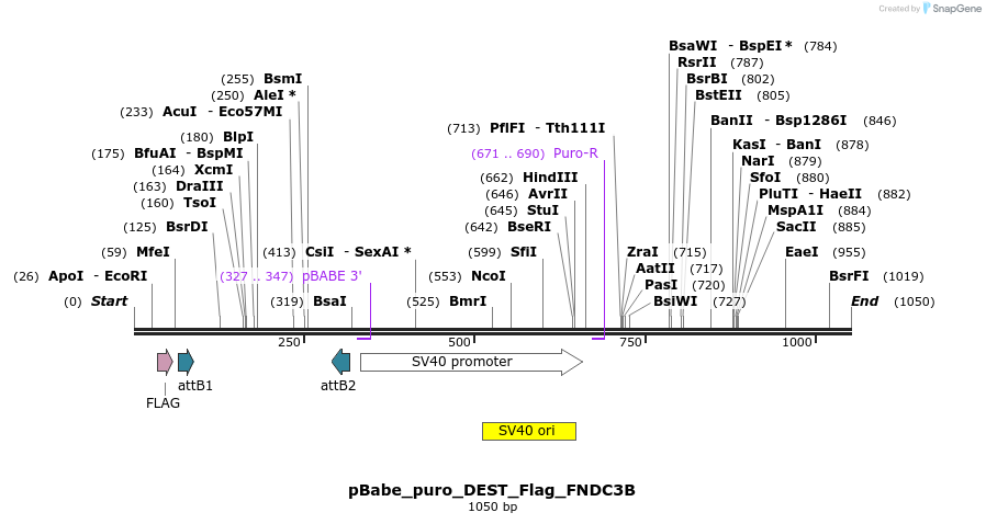 63224_map