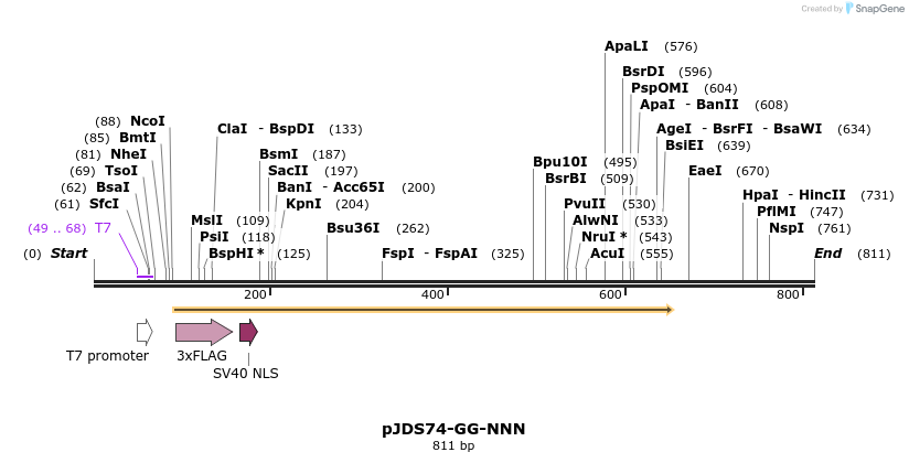 63228_map