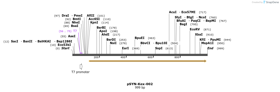 63234_map