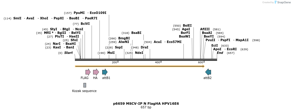 63235_map