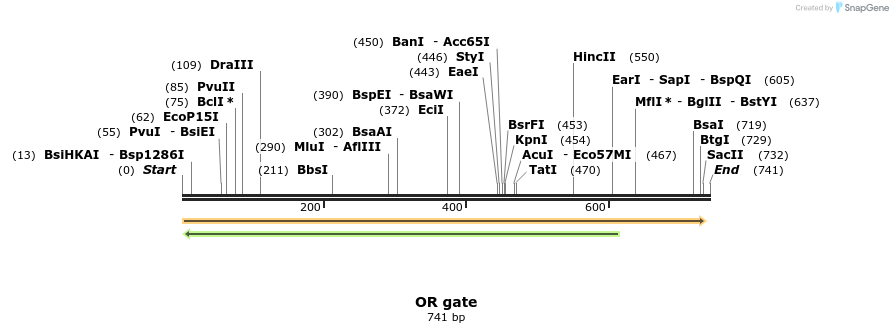 63236_map