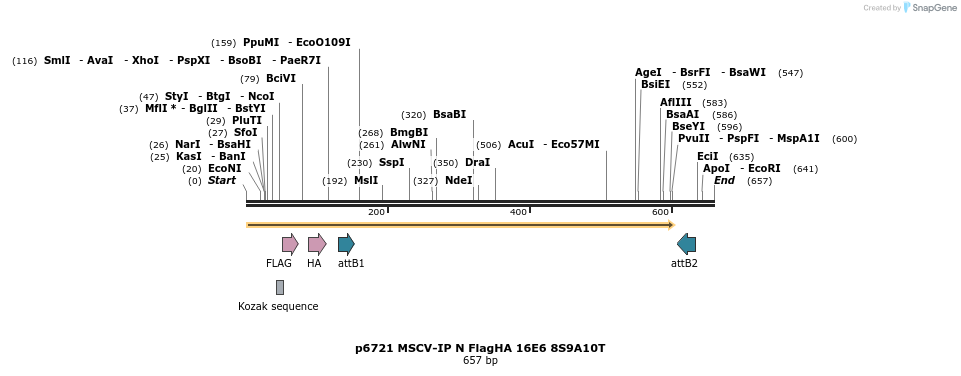 63238_map