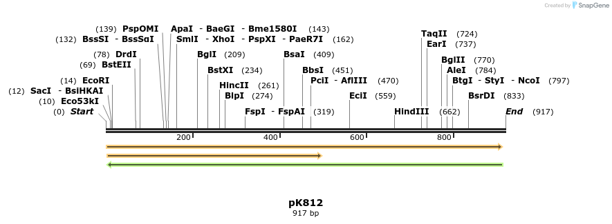 63250_map