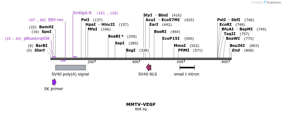 63252_map
