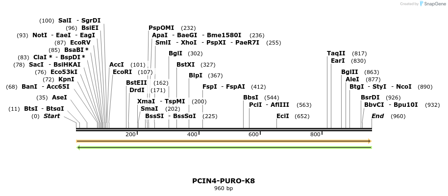 63253_map