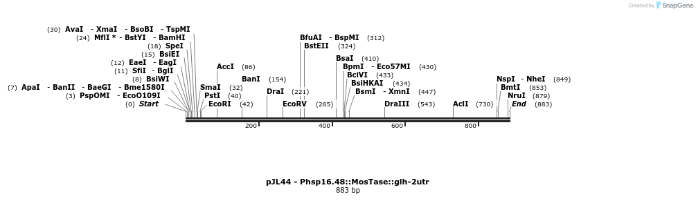 63260_map
