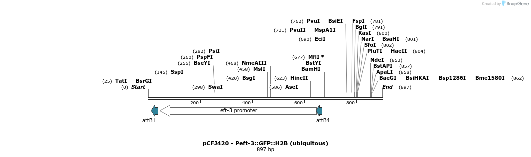 63265_map