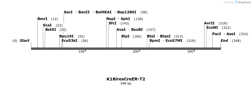 63266_map