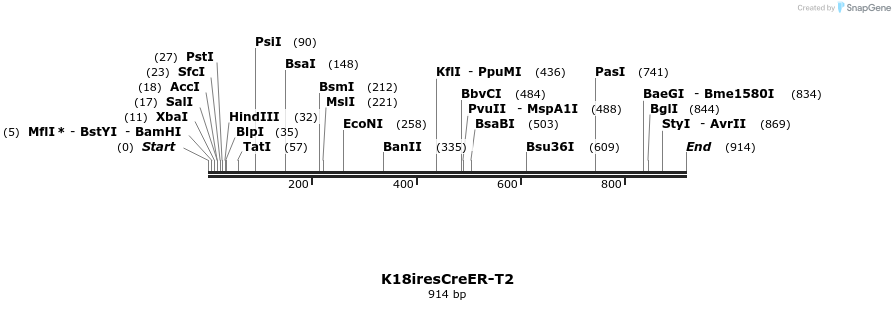 63267_map