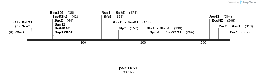 63271_map