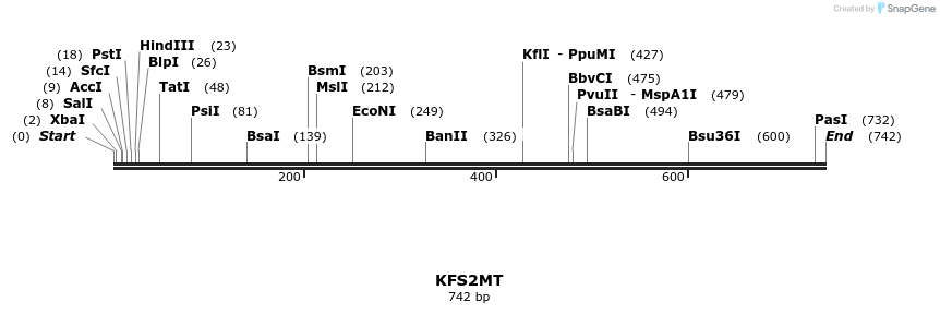 63272_map