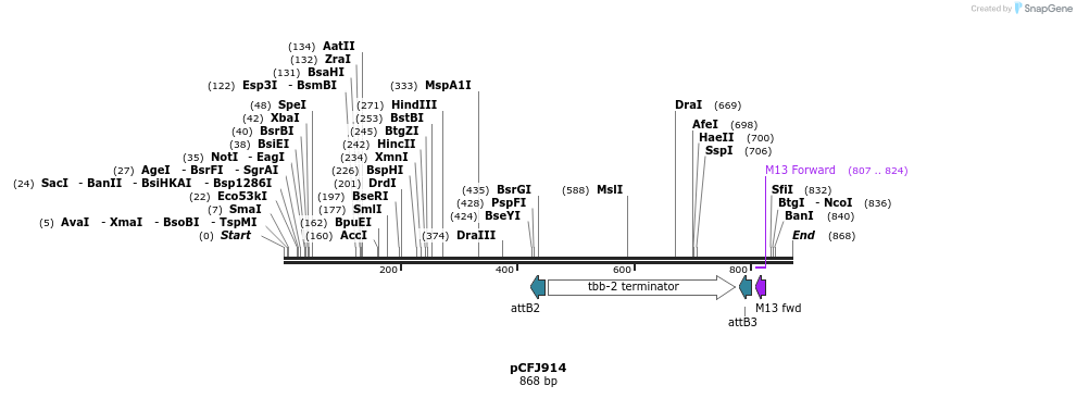63275_map