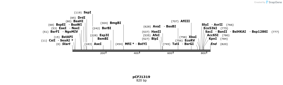 63279_map
