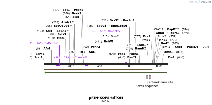 63296_map