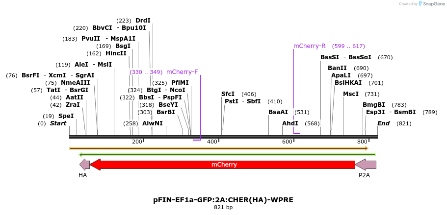 63297_map