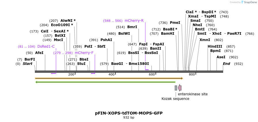 63307_map
