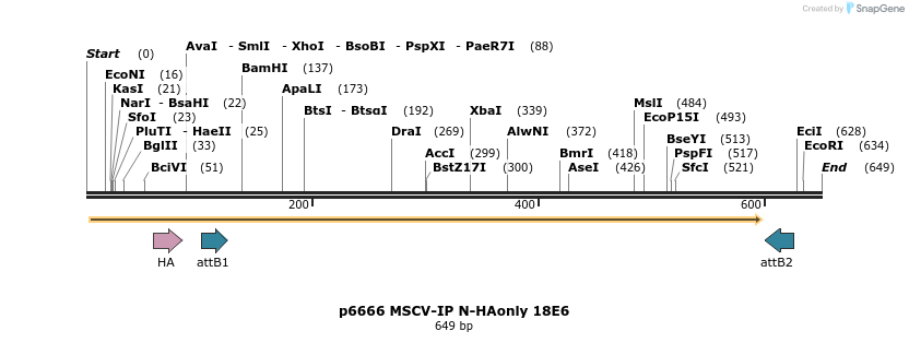 63309_map