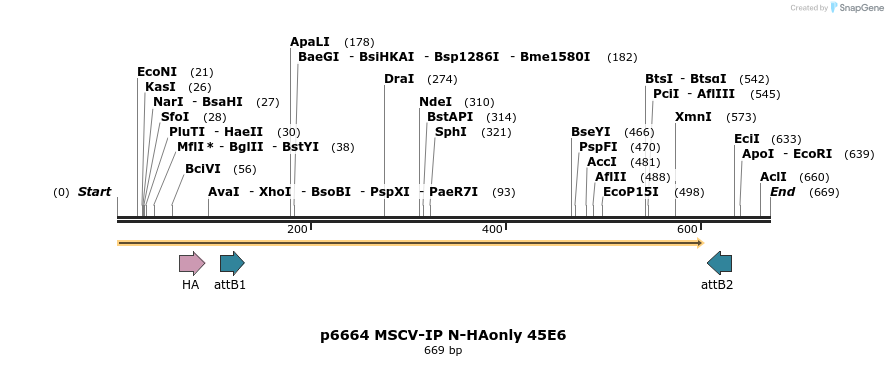 63310_map